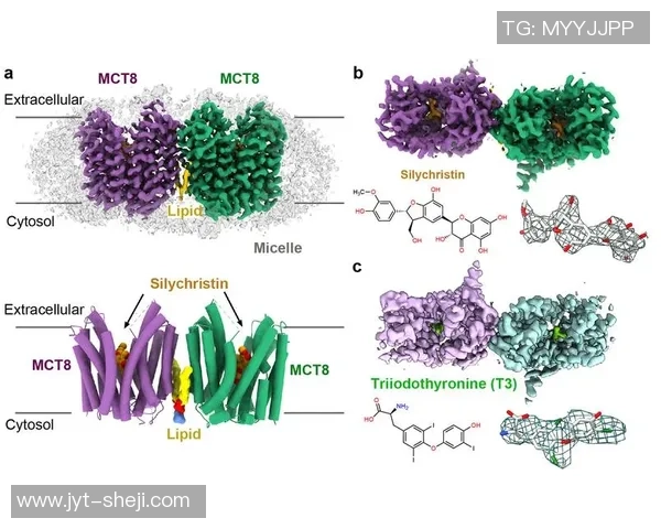 数据分析与团队协作结合的成功之道:探秘GenG战队的运营策略 数据分析与团队协作结合的成功之道:探秘GenG战队的运营策略